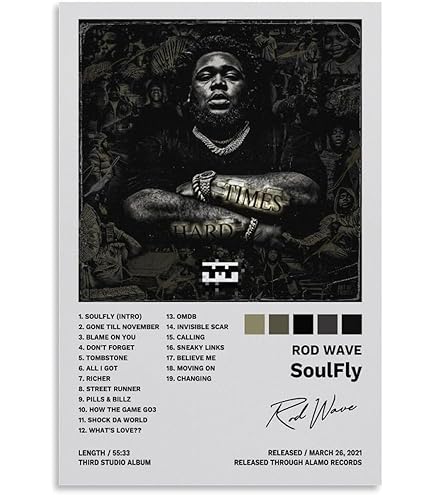 Amazon.com: JINZE Rod Poster Wave Soulfly Album Cover Poster